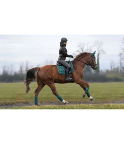 Tapis de selle Sparkling II