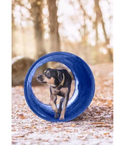 Tunnel d'agility