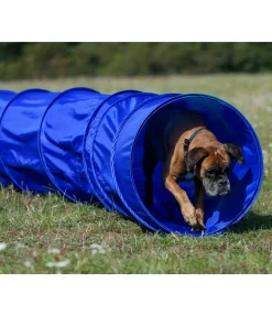 Tunnel d'agility