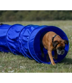 Tunnel d'agility